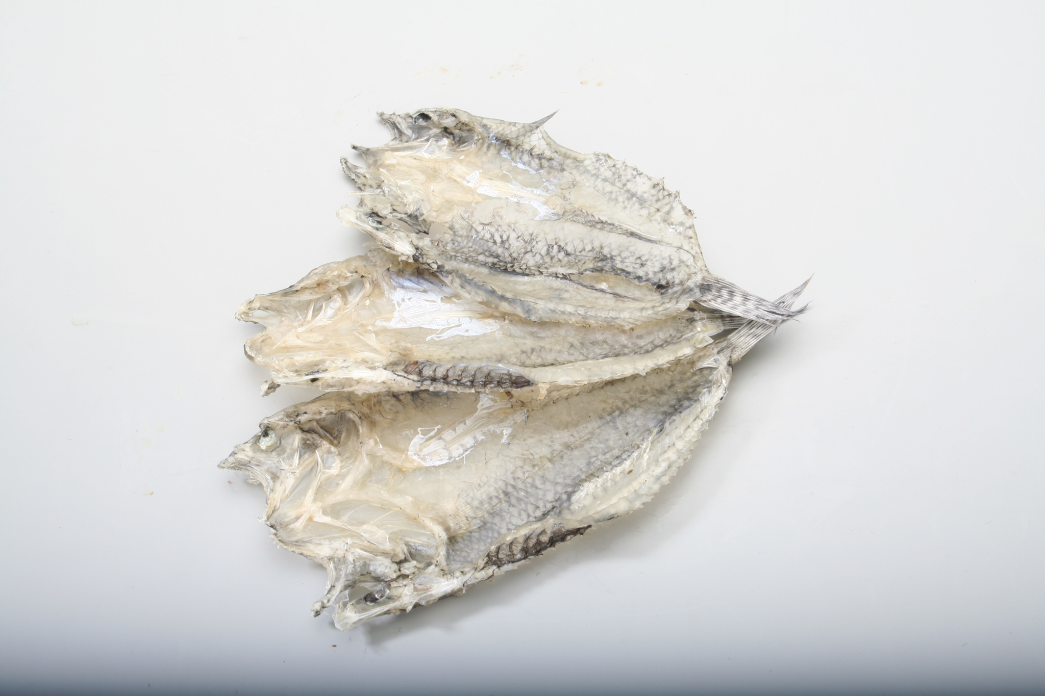 Carm Foods Enterprise | Shop